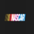 Icon of program: NASCAR for Windows 8