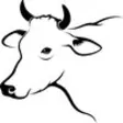 Icon of program: Davidsons Dairy Ltd