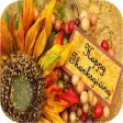 Icon of program: Thanksgiving Wallpapers