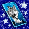 Icon of program: Wolf Live Wallpaper HD