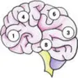 Icon of program: Brain MemEx
