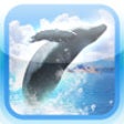 Icon of program: REAL WHALES Find the ceta…