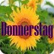 Icon of program: Donnerstag