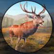 Icon of program: Wild Deer Hunting Jungle …