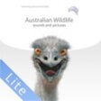 Aussie Wildlife Lite icon