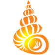 Icon of program: Shell Museum: Identify Sh…