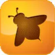 Icon of program: Disco Bees Invasion - Ins…