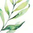 Icono de programa: Lovely: plants care journ…