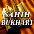 Icon of program: Sayings on Witr Prayer