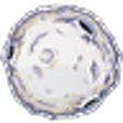 Icon of program: Co-Op