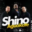 Icon of program: Shino Aguakate