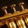 Icon of program: Trumpet Pro