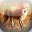 Icon of program: Fox 's - Real Sounds From…