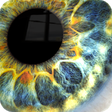 Icon of program: Spooky Eye