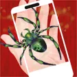 Icon of program: Spider ar augmented reali…
