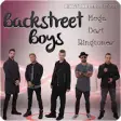 Icon of program: Backstreet Boys Mega Best…