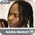 Icon of program: Naira Marley - No Interne…
