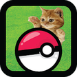 Icono de programa: Pocket Kitten Cats GO