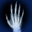 Icon of program: Skeletal Anatomy 3D - Qui…