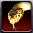 Snakes icon