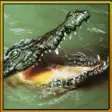 Icon of program: Wild Hungry Crocodile 3D