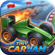 Icon of program: Tiny Car Jam