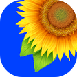 Icono de programa: Gallery