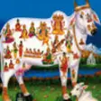 Icon of program: Hindu God Wallpapers