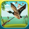 Icono de programa: Duck Hunting 3D