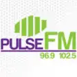 Icon of program: The New Pulse FM