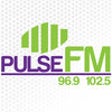 Icono de programa: The New Pulse FM
