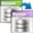 Icono de programa: Viobo Access to MySQL Dat…