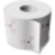 Icon of program: Desktop Toilet