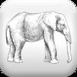 Icon of program: Animal Facts Pro