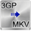 Icon of program: Free 3GP to MKV Converter