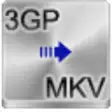Icon of program: Free 3GP to MKV Converter