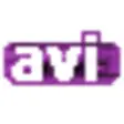 Icon of program: AVI Viewer