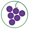 Icono de programa: Wines Til Sold Out (WTSO)