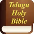 Icon of program: Telugu Holy Bible