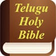 Icono de programa: Telugu Holy Bible