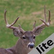 Pro Deer Calls lite icon