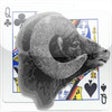 Icon of program: Sheepshead Scorer