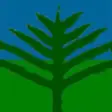 Icon of program: Gympie Pines GC