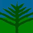 Icono de programa: Gympie Pines GC