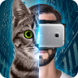 Icon of program: VR Helmet House of Cat Ey…