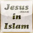 Icon of program: The islamic view of Jesus…