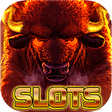 Wild Buffalo Safari HD Slots icon