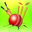 Icon of program: Idle Cricket