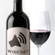 Icon of program: WineSay - Wine Pronunciat…