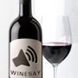 Icono de programa: WineSay - Wine Pronunciat…